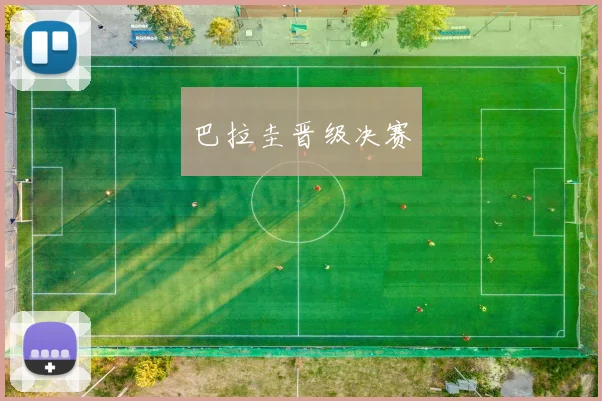 巴拉圭晋级决赛
