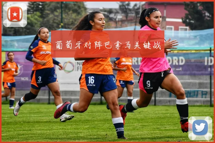 葡萄牙对阵巴拿马关键战