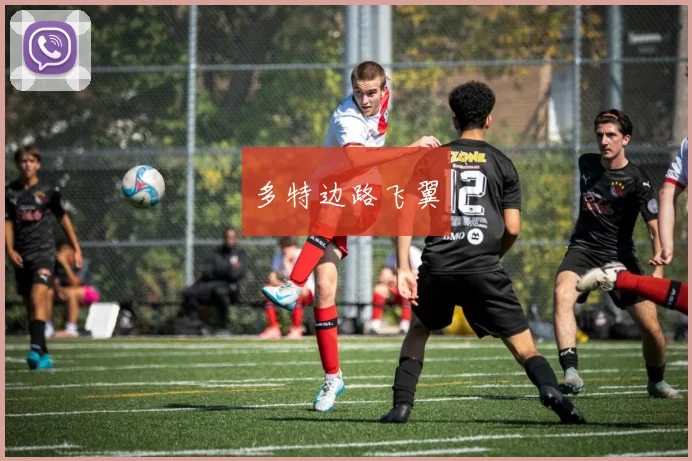 多特边路飞翼